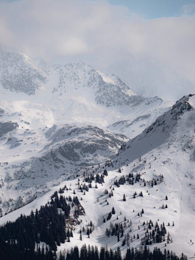 भारत के 7 सबसे खूबसूरत हिल स्टेशन, जहा आप पा सकते हैं चिलचिलाती गर्मी से राहत